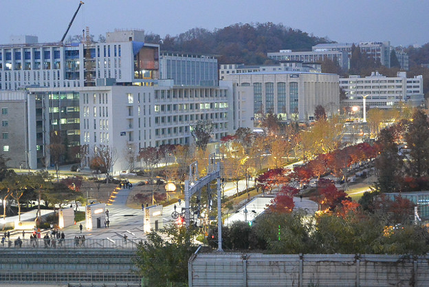 resize13969 写真: resize13969
