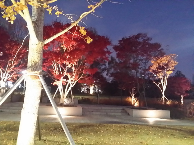 resize14199 写真: resize14199