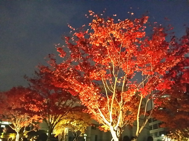 resize14200 写真: resize14200