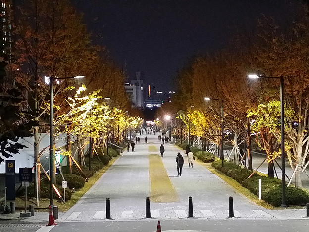 resize14226 写真: resize14226