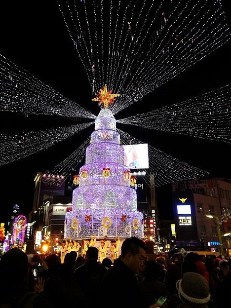 resize14587 写真: resize14587