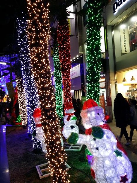resize14577 写真: resize14577