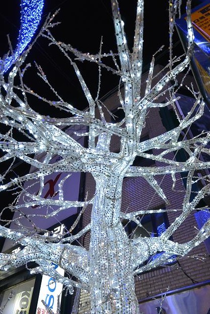 resize14477 写真: resize14477