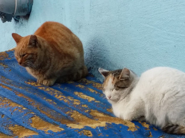 resize14649 写真: resize14649