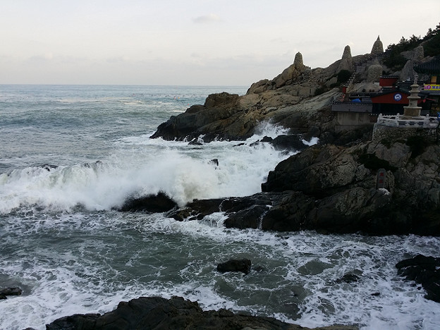 resize14721 写真: resize14721