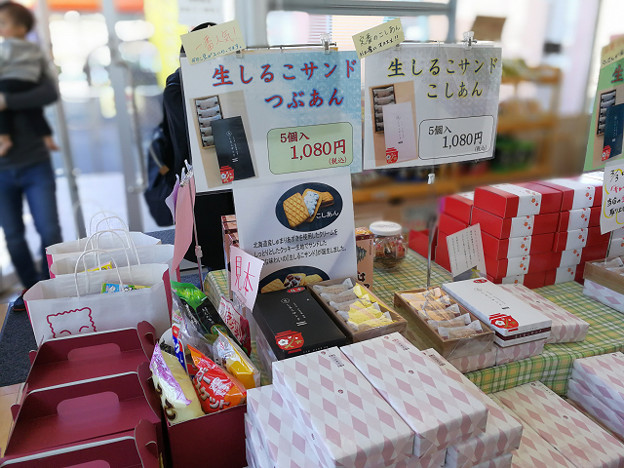 resize15569 写真: resize15569