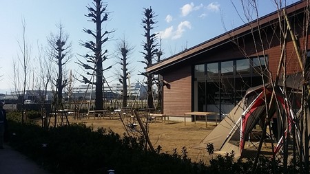 013SP