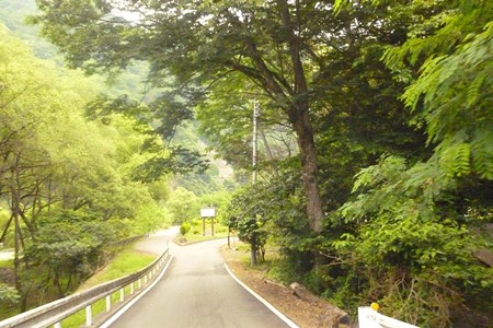 20150529_026ShikitiIriguchi