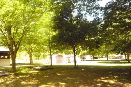 20150530_058StaffSite