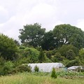 奈良県池部城山古墳 写真: 奈良県池部城山古墳