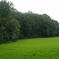 奈良県池部大塚山古墳 奈良県池部大塚山古墳