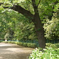 多摩川亀甲山古墳 多摩川亀甲山古墳