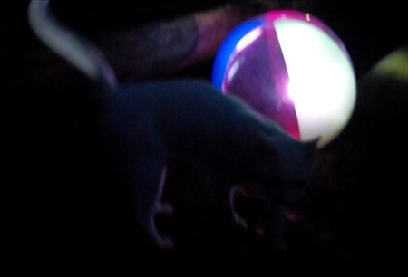 IMGP0844_0831