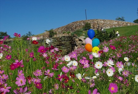 IMGP6595_0913