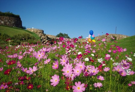 IMGP6659_0913