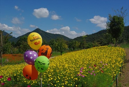 IMGP6900_0914