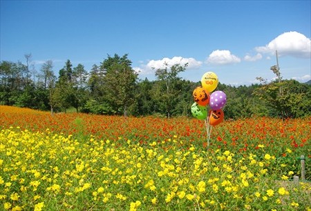 IMGP6952_0914