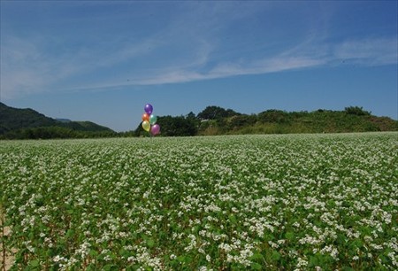 IMGP7860_0923