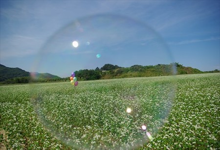 IMGP7965_0923