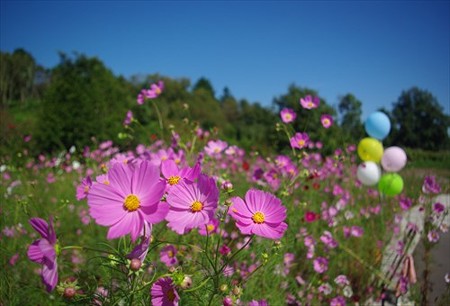 IMGP8562_09.27