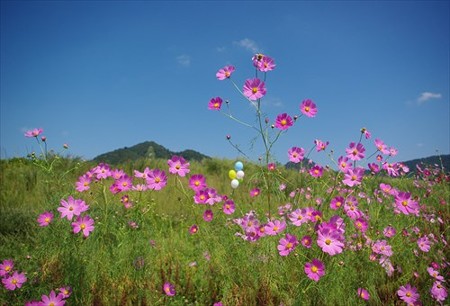 IMGP8730_0927