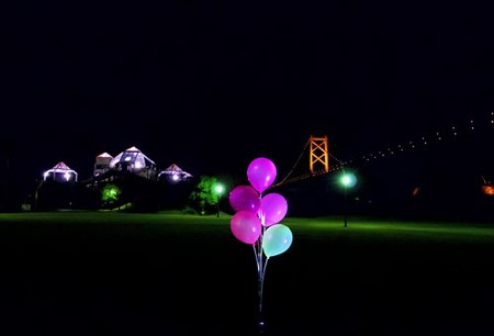 IMGP5143_0228