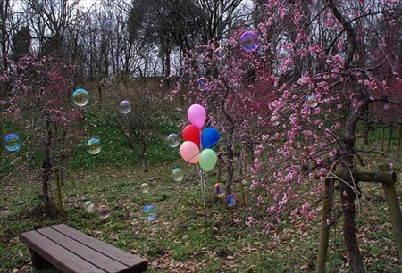 IMGP4851_0308