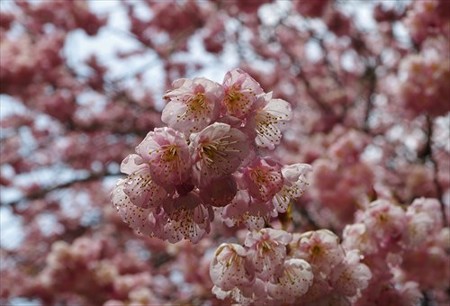 IMGP0084_0314