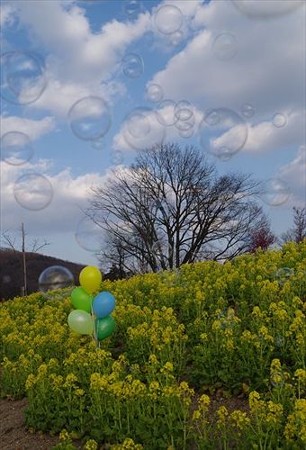 IMGP0530_0212