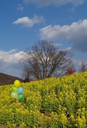 IMGP0613_0212