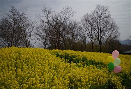 IMGP1194_0321