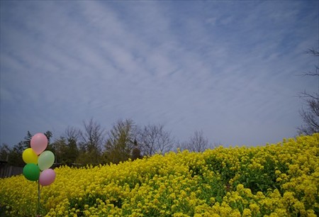 IMGP1197_0321