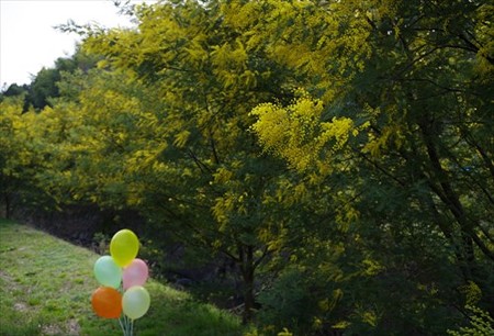 IMGP1431_0321