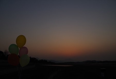 IMGP1693_0321