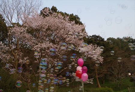IMGP1921_0322
