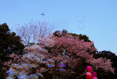 IMGP8769_0322