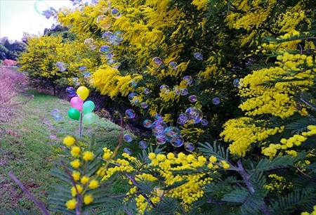 IMGP8965_0325