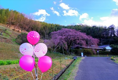 IMGP9335_0325