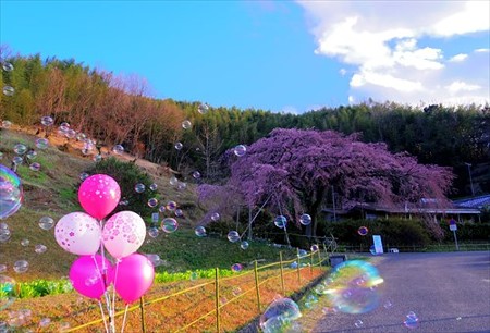 IMGP9360_0325