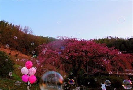 IMGP9570_0325