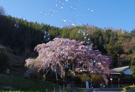 IMGP2135_0328