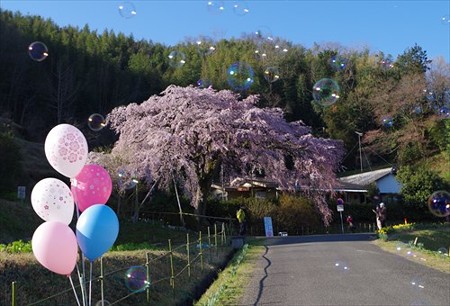 IMGP2140_0328