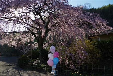 IMGP2159_0328