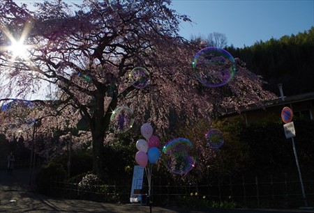 IMGP2163_0328