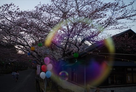 IMGP2459_0328