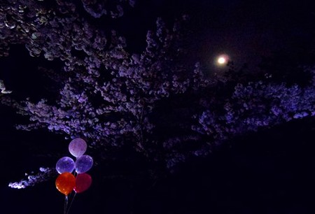 IMGP2050_0402