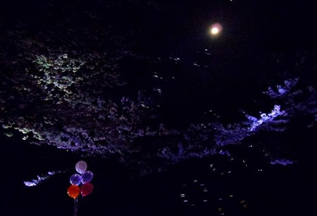 IMGP2140_0402