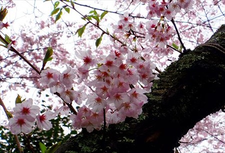 IMGP2439_0404