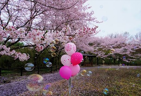 IMGP2840_0404