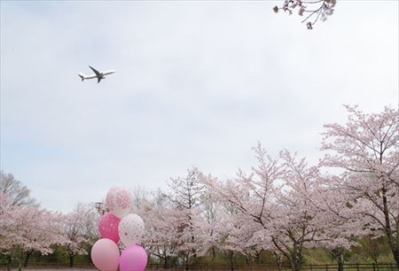 IMGP3709_0404